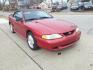 1995 Ultra Red 000 Ford Mustang GT (1FALP45T5SF) with an 5.0L 5.0L NA V8 overhead valves (OHV) 16V Fuel Injected engine, 5-Speed Manual transmission, located at 5505 N. Summit St., Toledo, OH, 43611, (419) 729-2688, 41.654953, -83.530014 - Photo#16